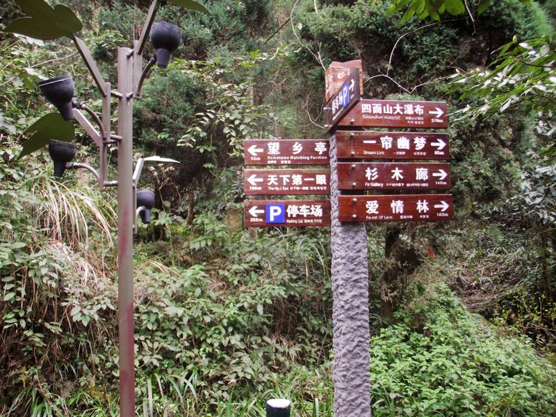 DSCF9189.JPG