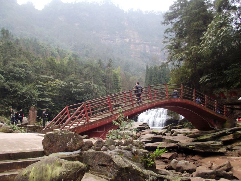 DSCF9175.JPG
