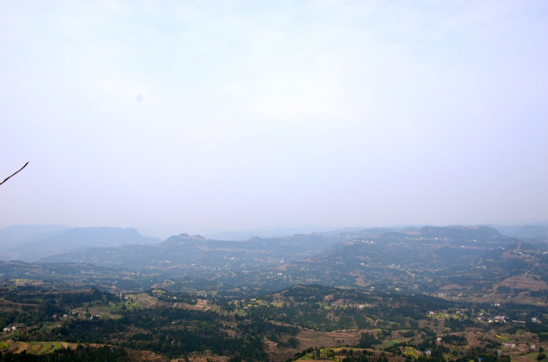 4165852.jpg