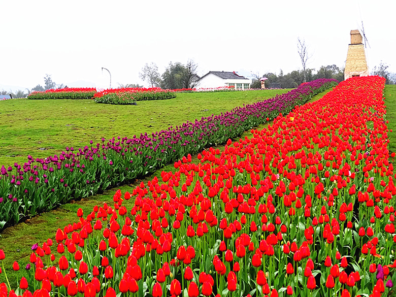 DSC05307_.jpg