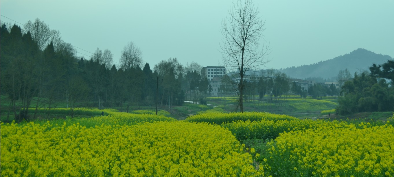 QQͼ20140314200310.jpg