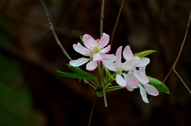DSC_7812_.jpg