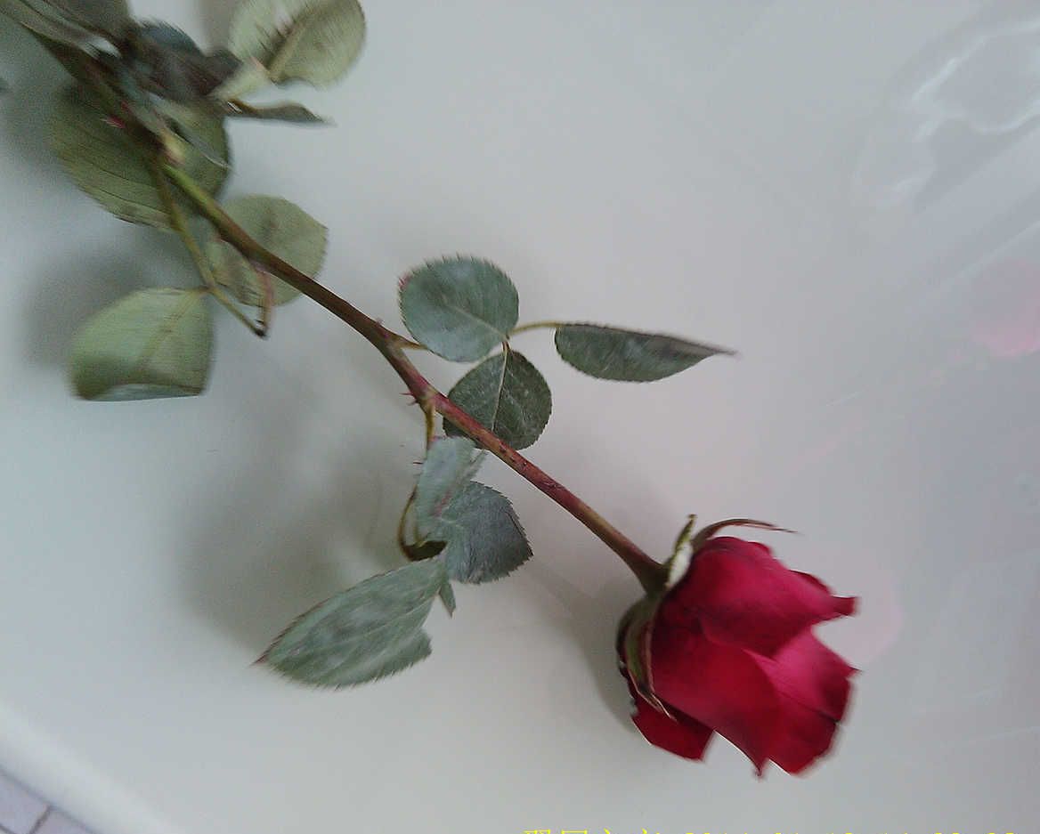 IMG_20140119_143938.jpg