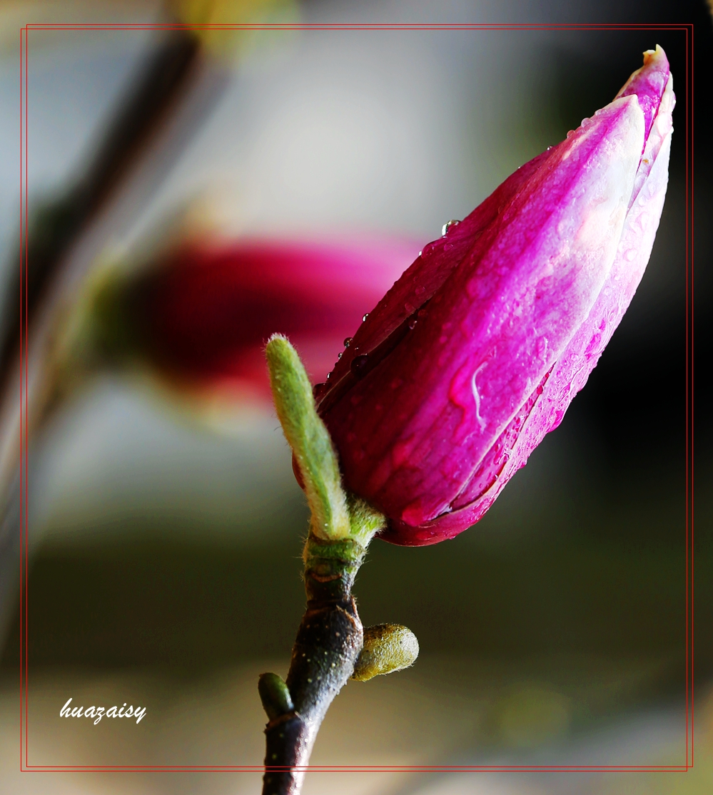 S98A1433_.jpg