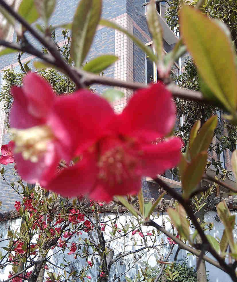 IMG_20140316_140833.jpg