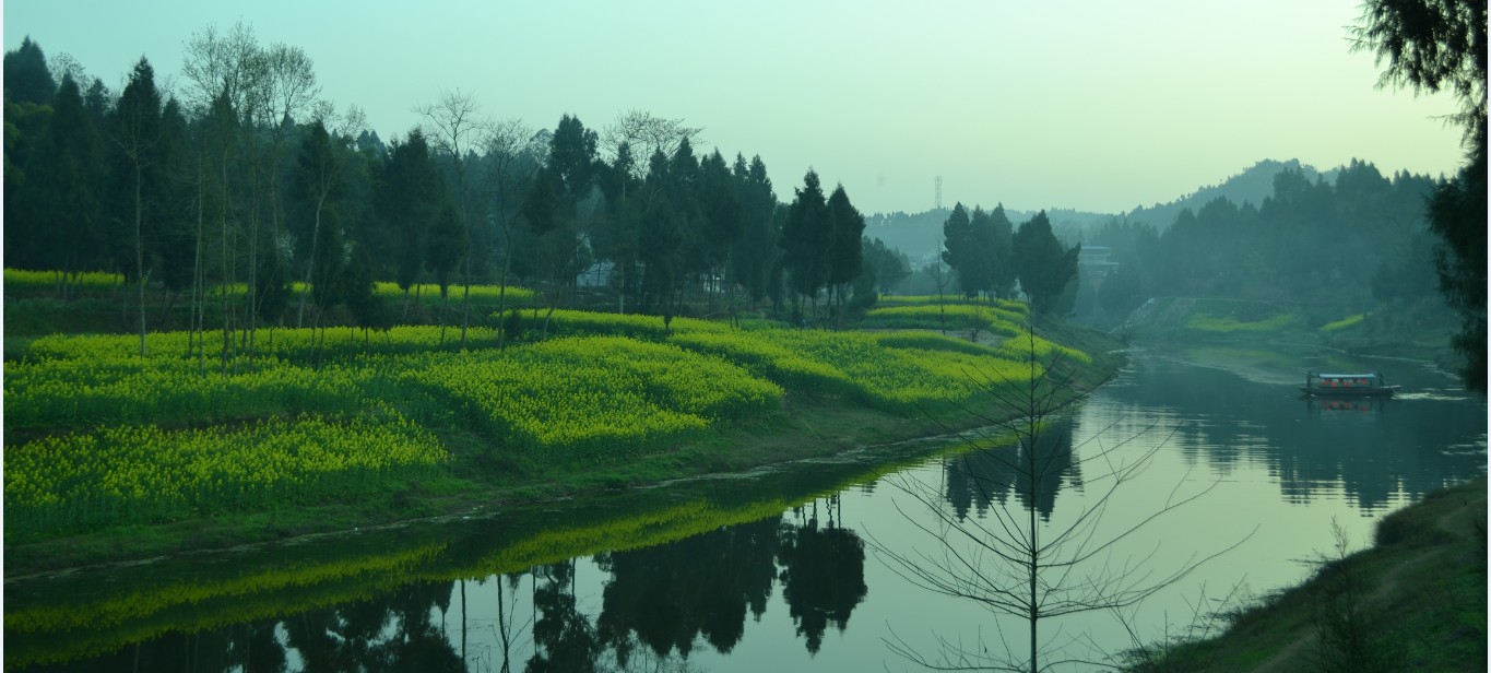 营山县三兴镇千亩菜花等你来参观,绝对的美不胜收! .