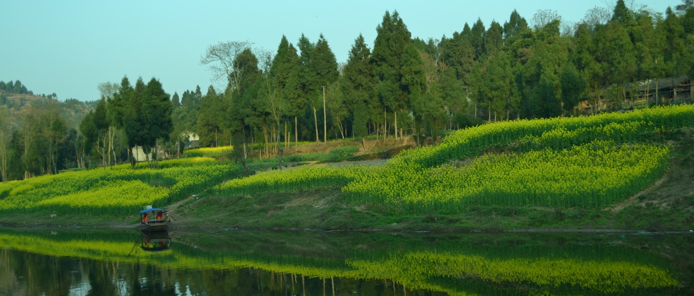 营山县三兴镇千亩菜花等你来参观,绝对的美不胜收! .