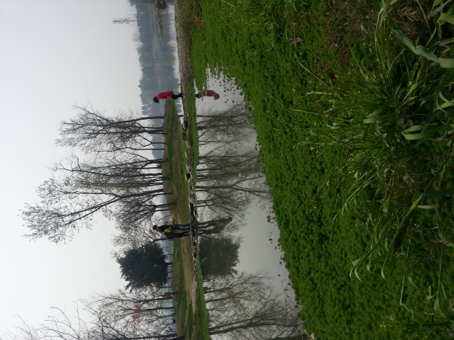 20140316_124258.jpg