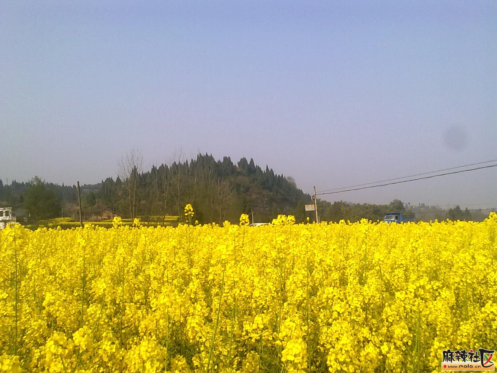Ƭ 022.jpg