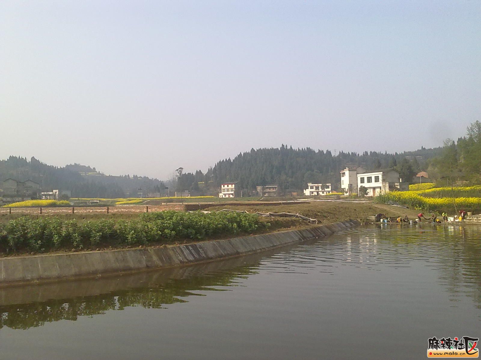 Ƭ 024.jpg