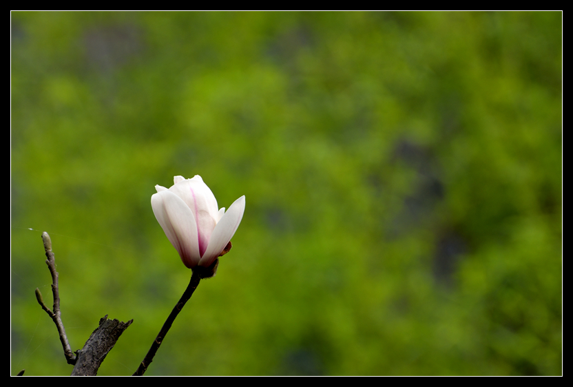 DSC_8010_.jpg