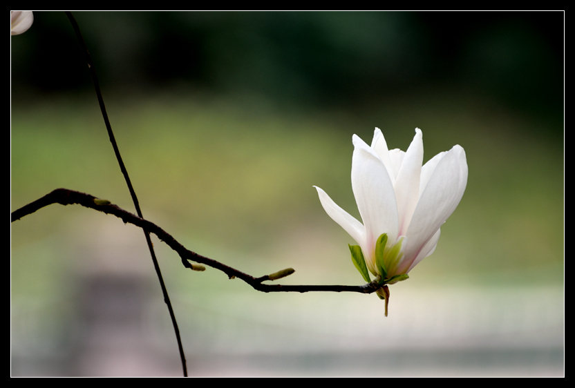 DSC_8021_.jpg
