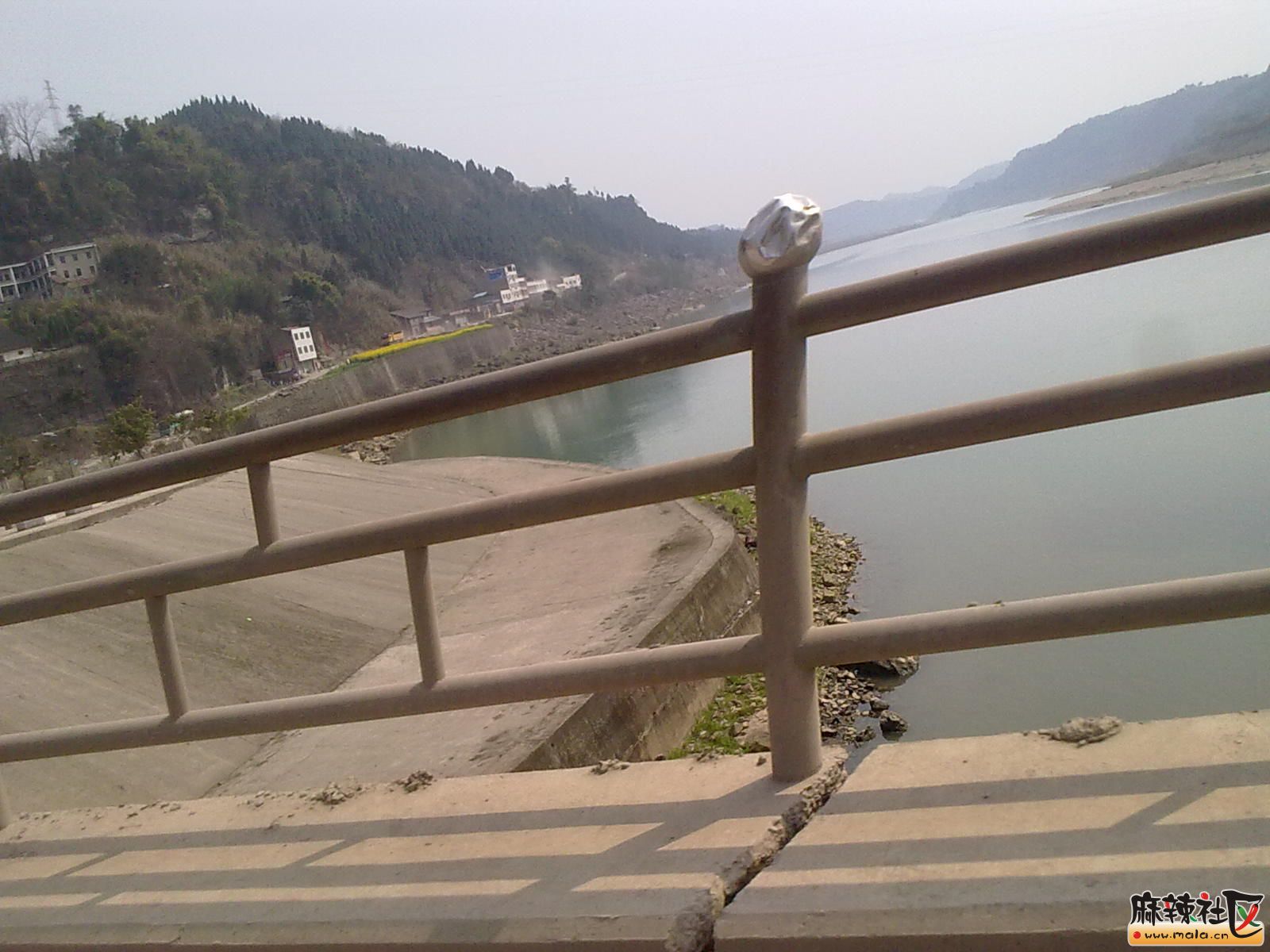 Ƭ 082.jpg