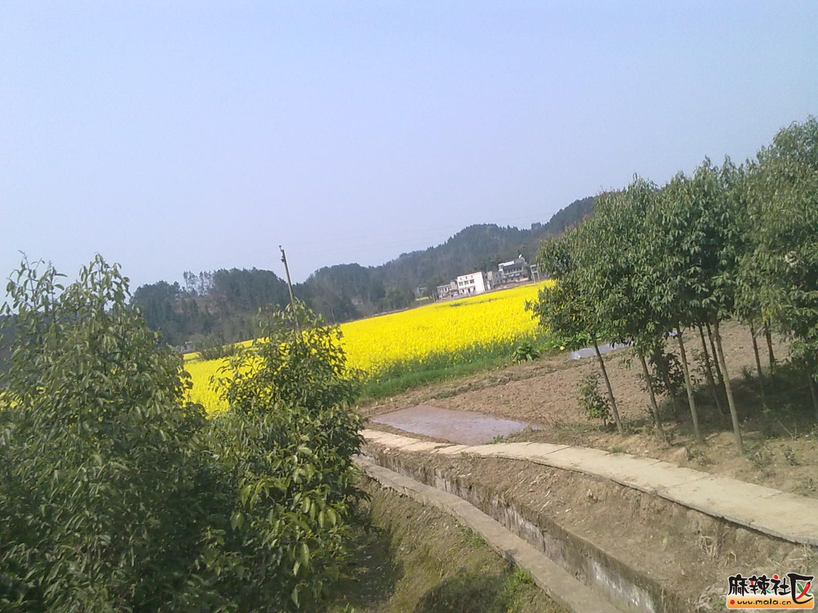 Ƭ 092.jpg