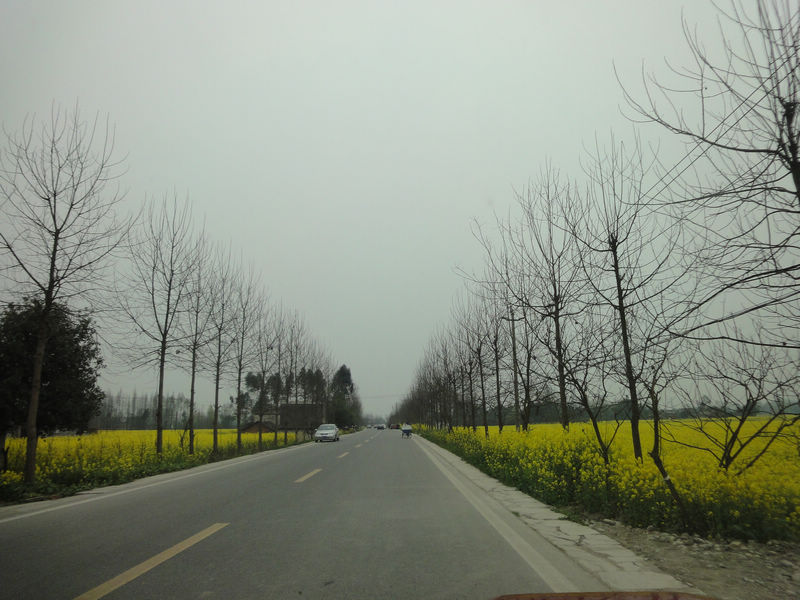DSC02303.JPG