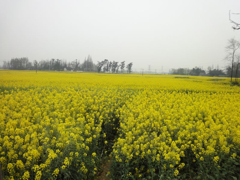 DSC02280.JPG