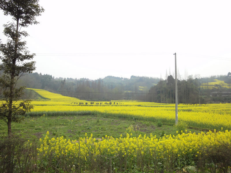 DSC02283.JPG