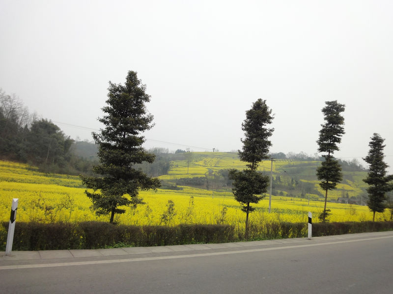 DSC02295.JPG