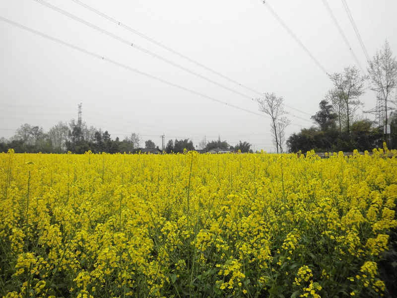 DSC02298.JPG