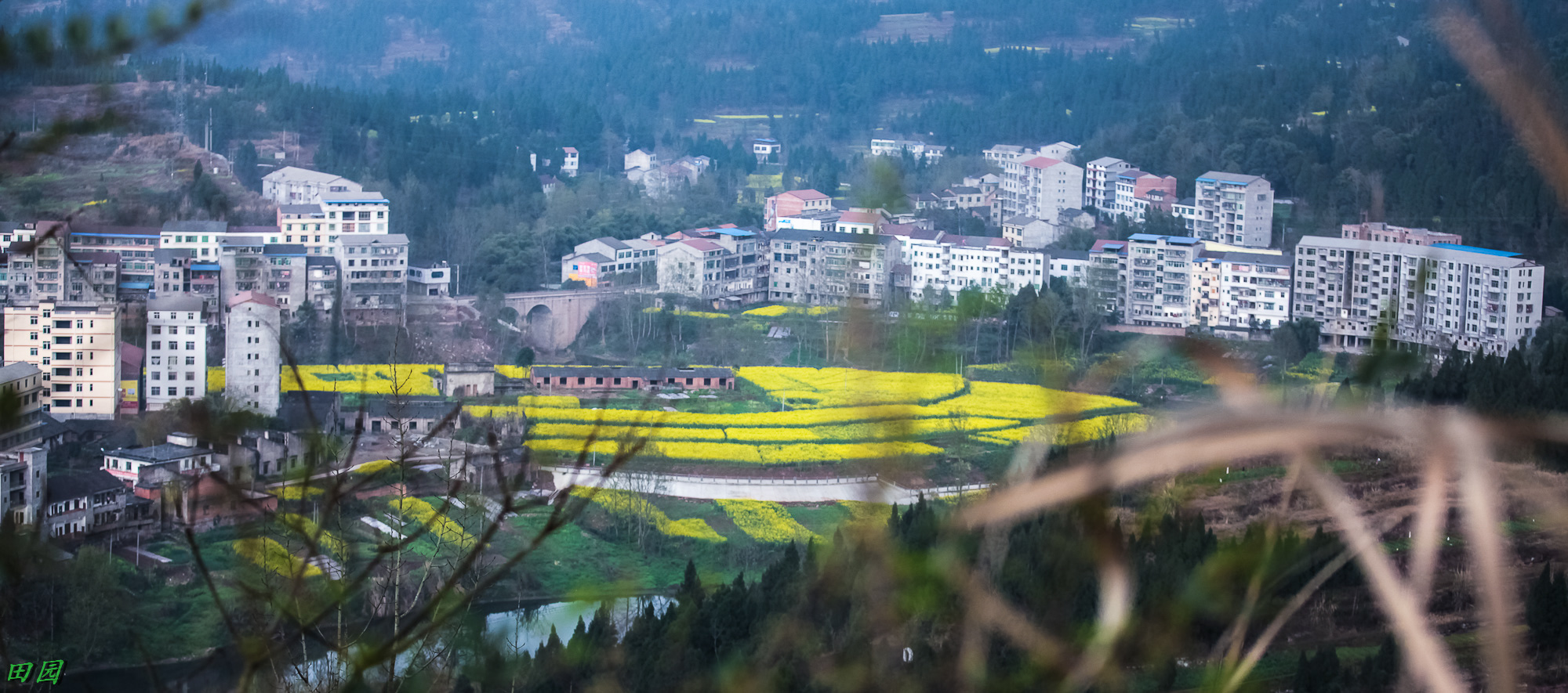 IMG_1541-2.JPG