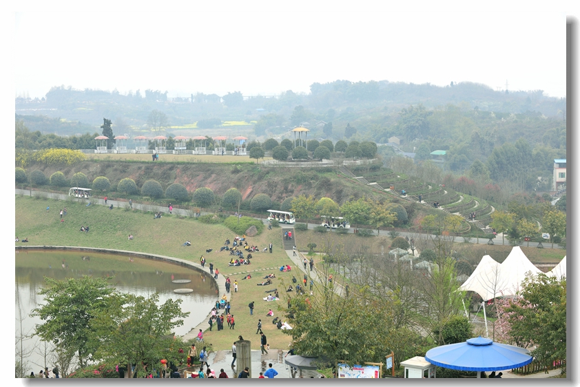 DSC_6172.JPG