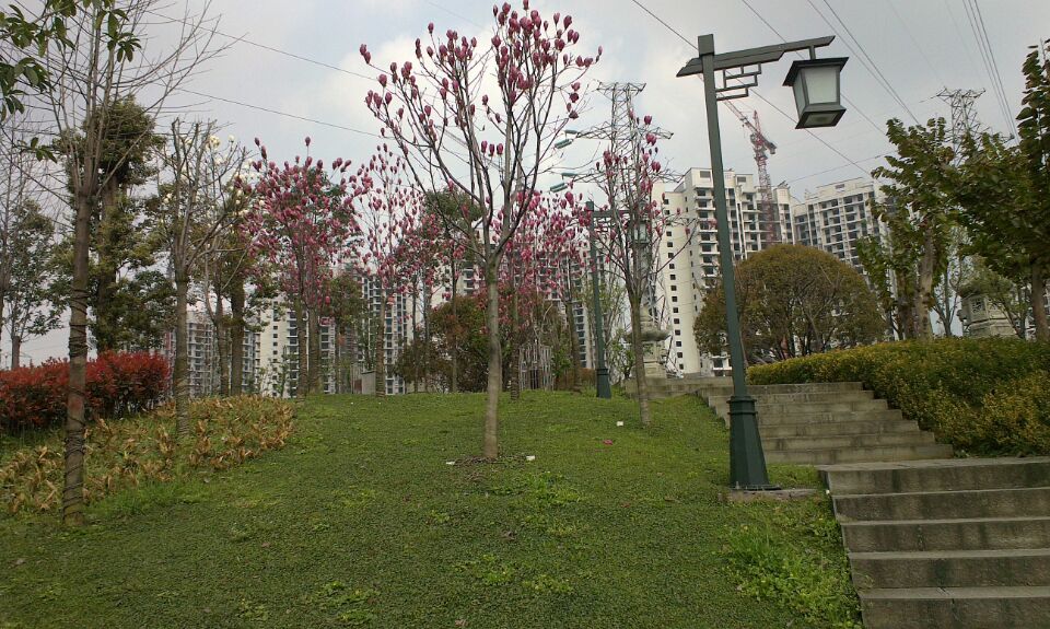 wifi0s0411585110IMAG0569.jpg