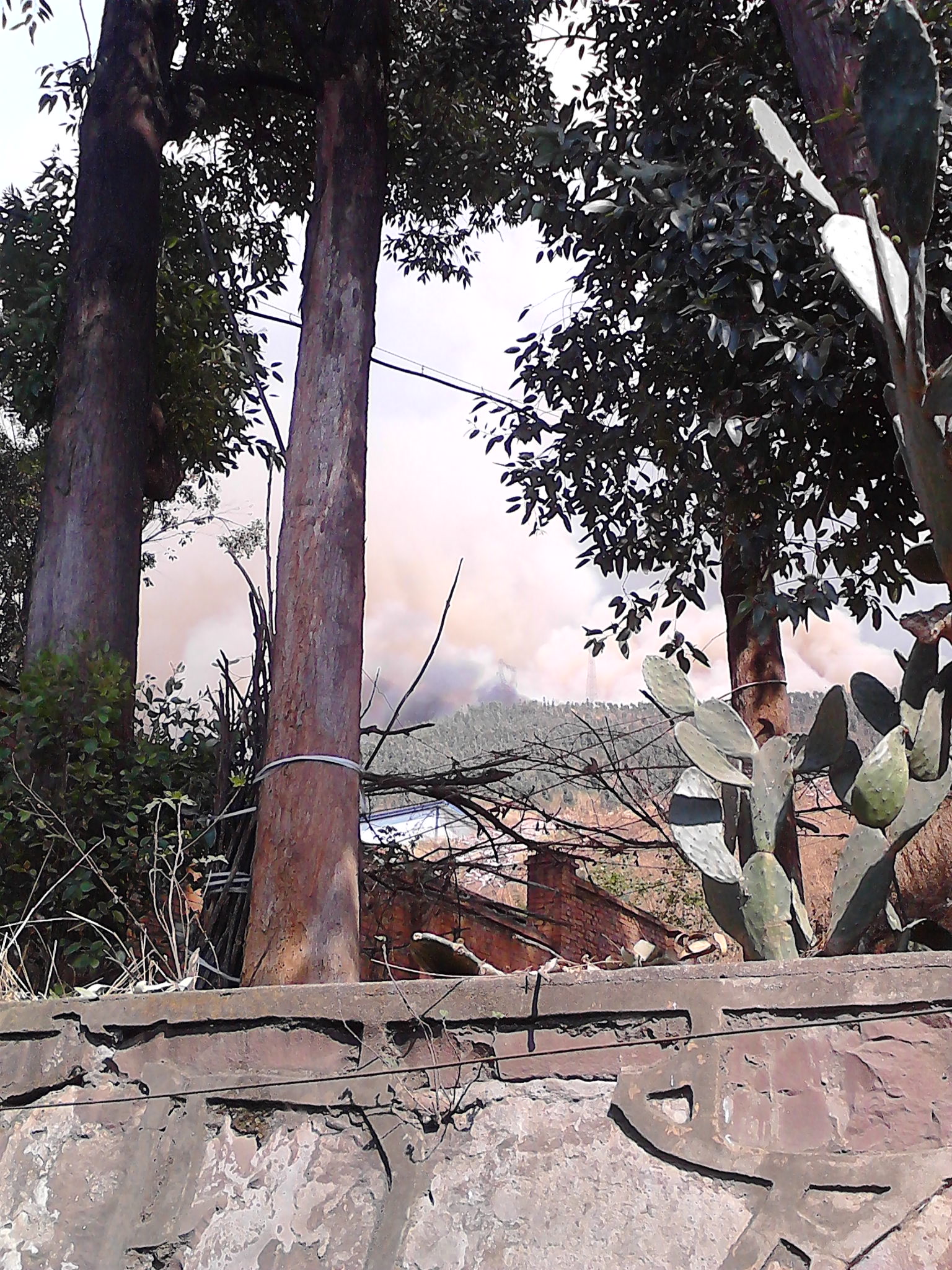 西昌好大的山火