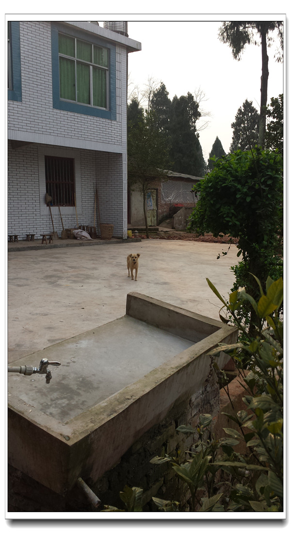 20140318_170206.jpg