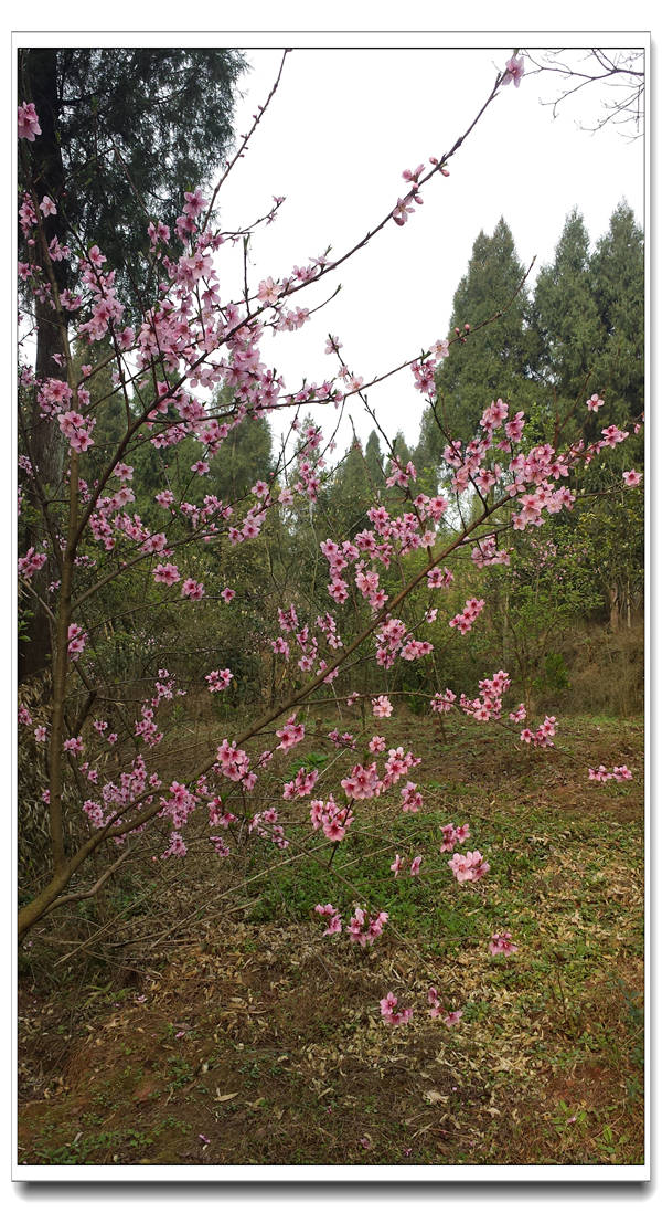 20140318_170307.jpg
