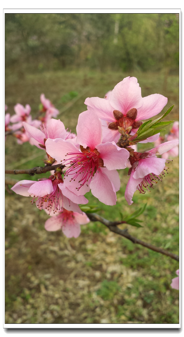 20140318_170338.jpg