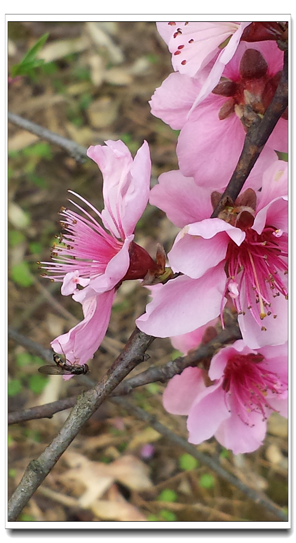 20140318_170616.jpg