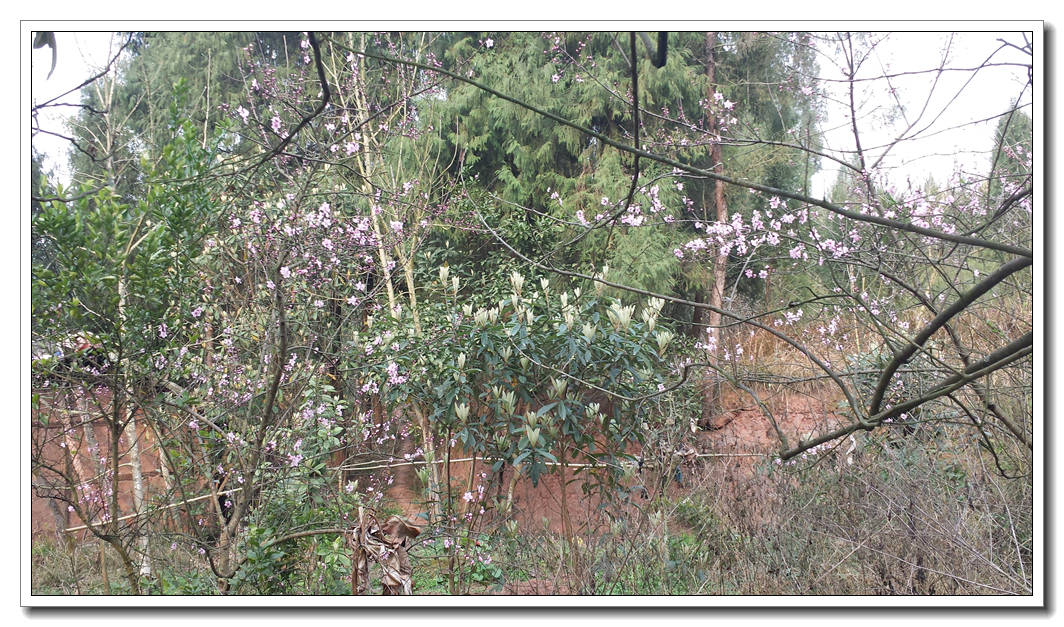 20140318_170733.jpg