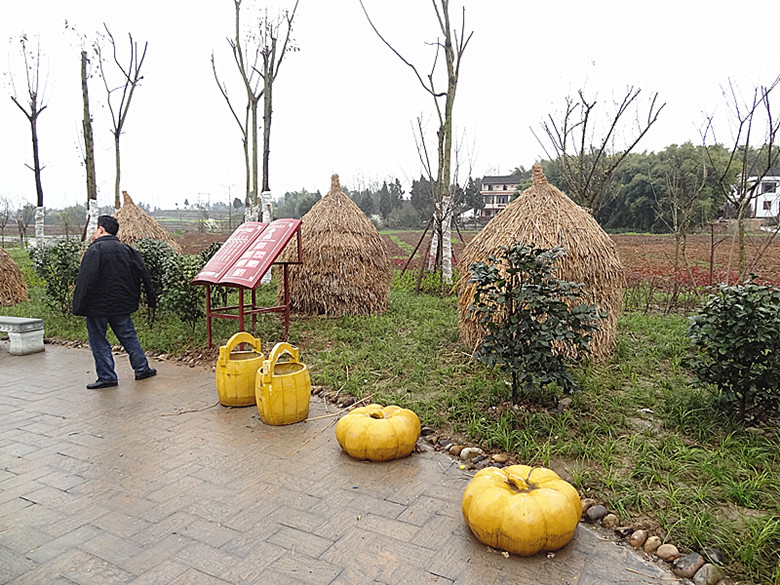DSC05373_.jpg