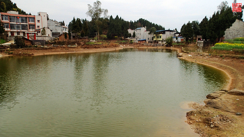 P3010096.jpg
