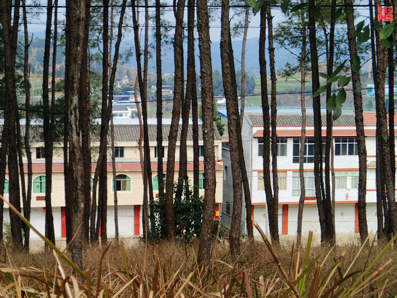 P3010154.jpg