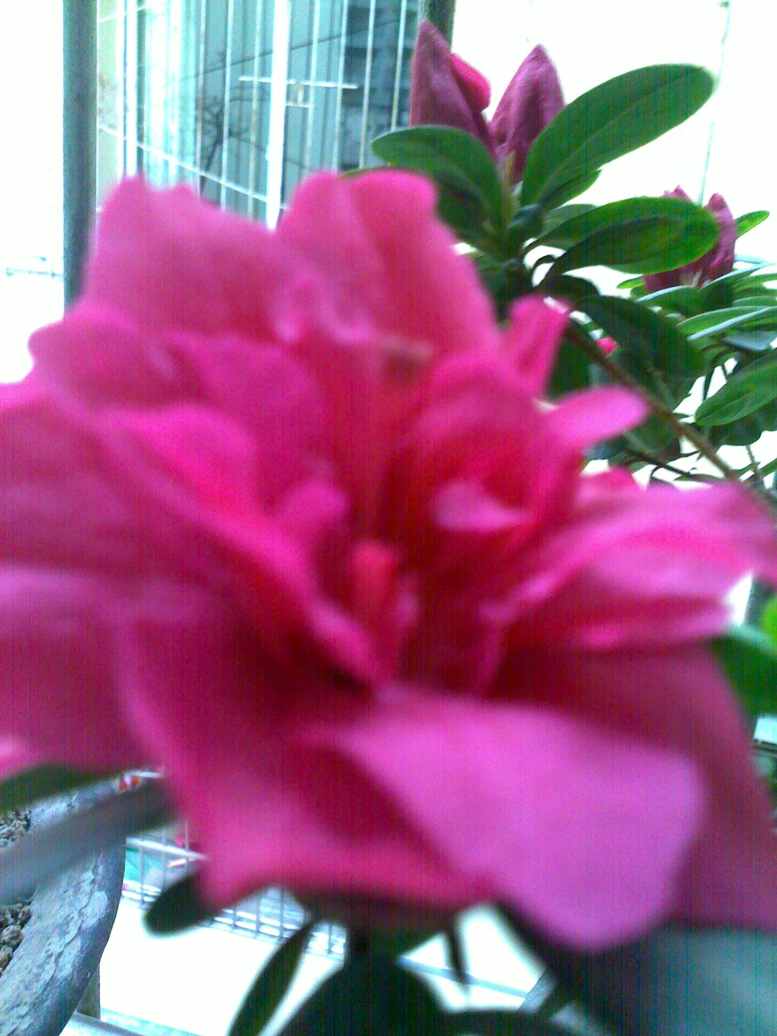 2014032024835.jpg