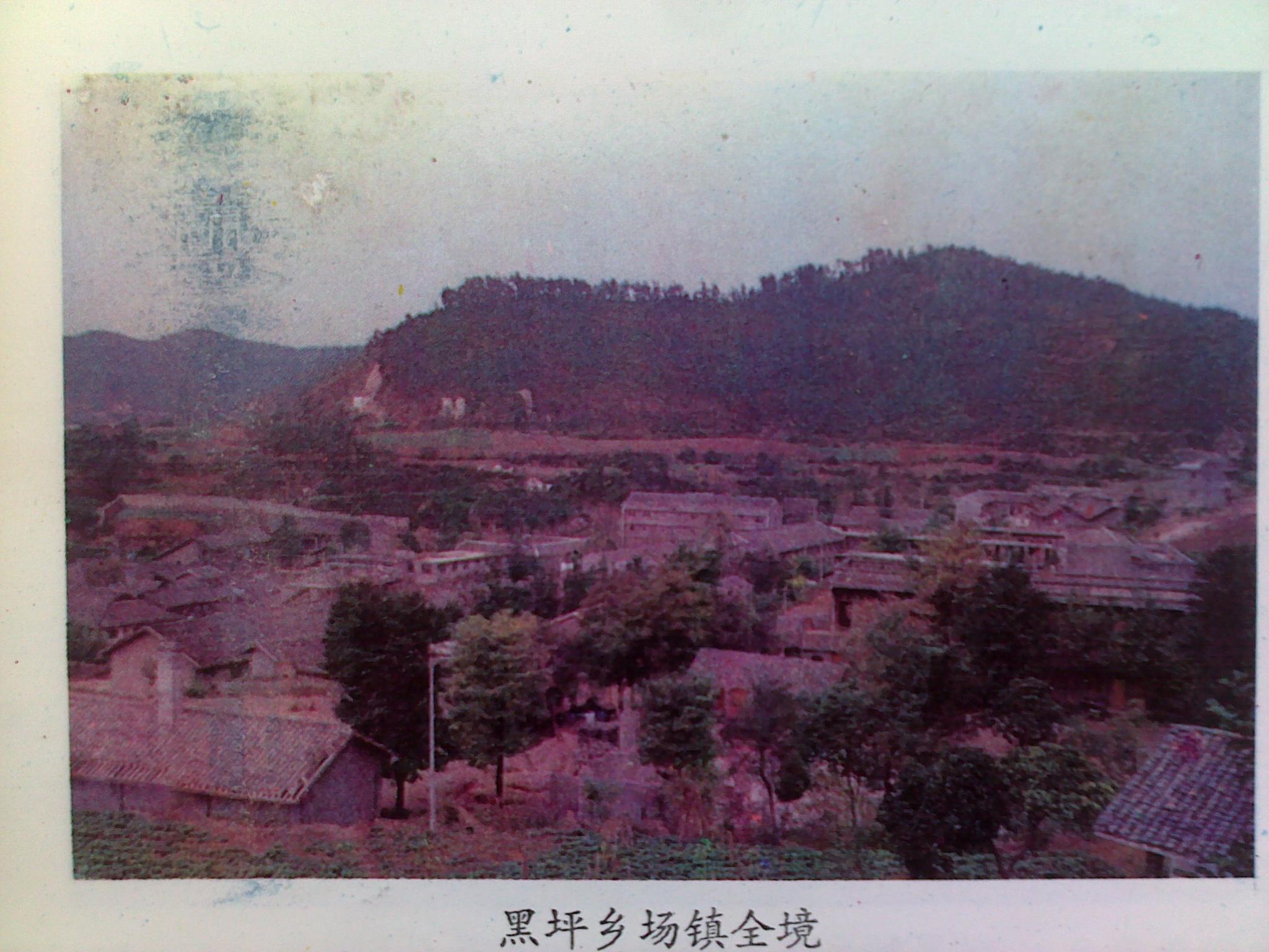2014032024748.jpg