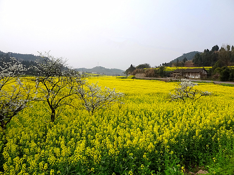 DSC05742_.jpg