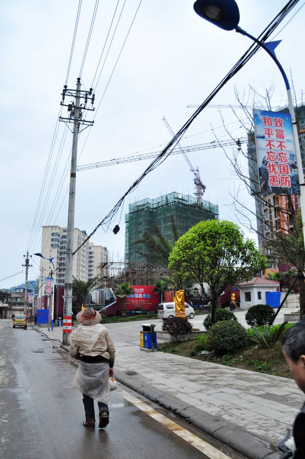 蓬安县塔子山村图片