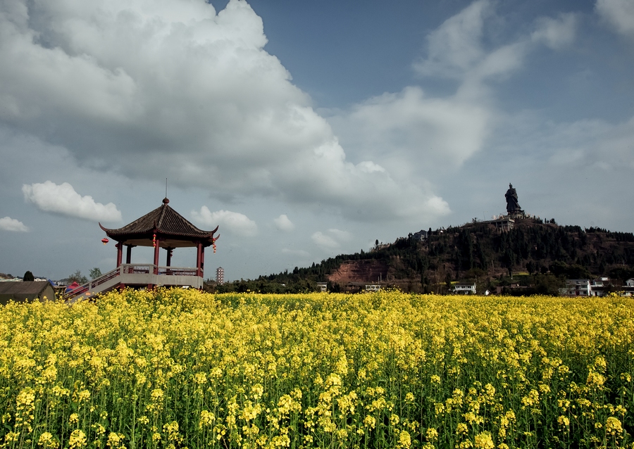 巴南二圣天平山油菜花图片