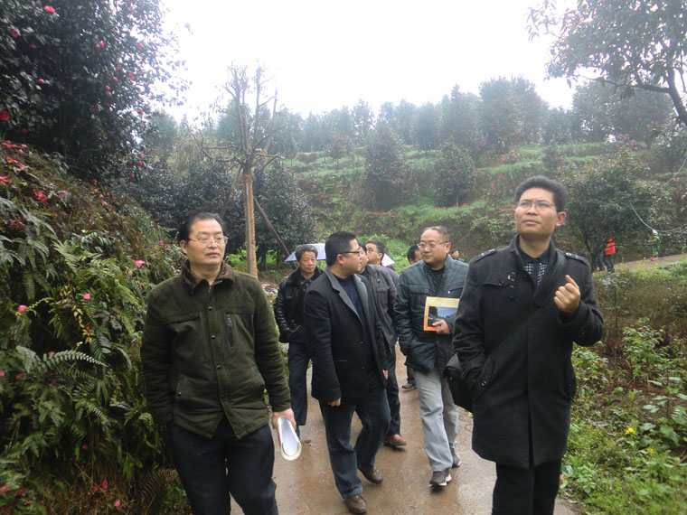 CIMG0281.JPG