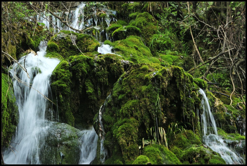 conew_img_0054.jpg