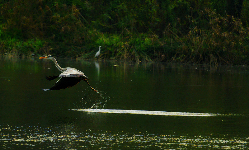 DSC_2761.jpg