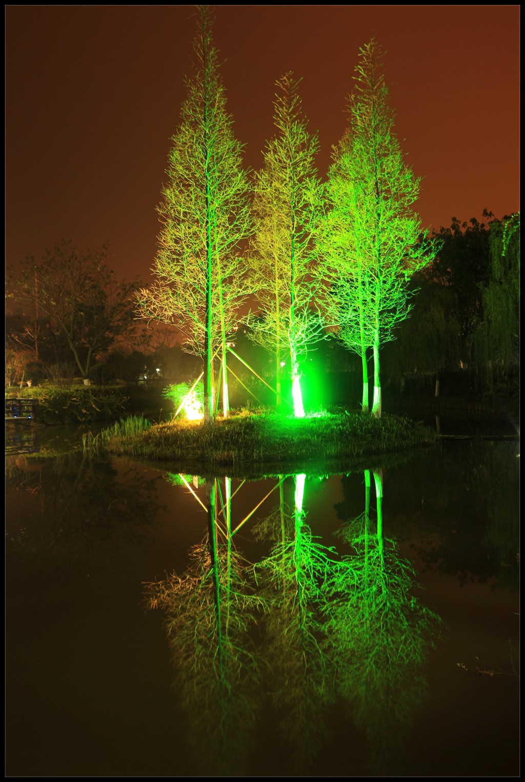 conew_img_0264.jpg