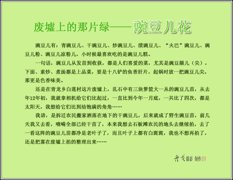 㶹棩.jpg