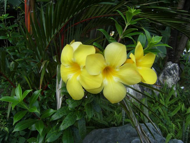 20130118....23 082.jpg