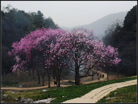 201032985937.jpg