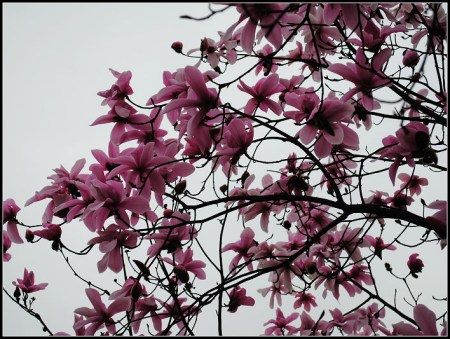 201032985928.jpg