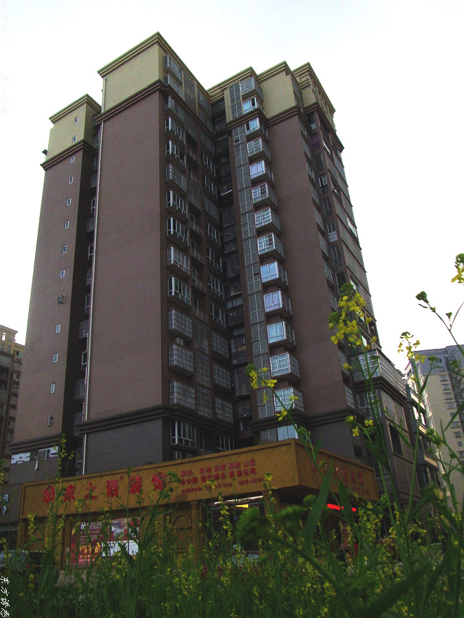 GEDC0320.jpg