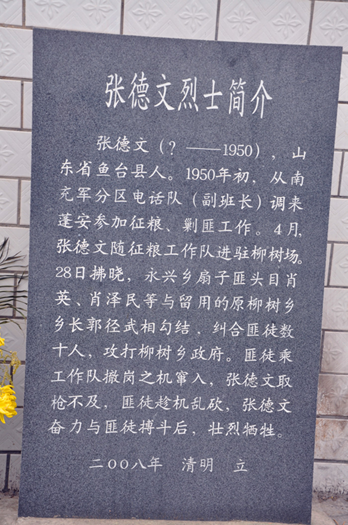 115414hszsc33t33s3b2p3.jpg